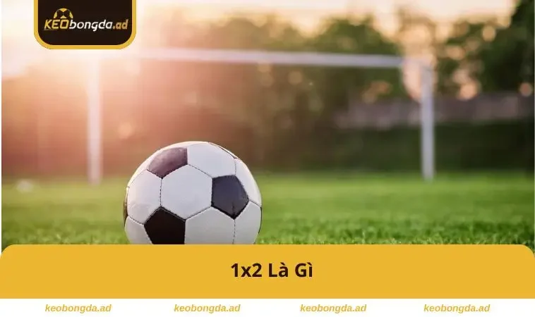 1x2-la-gi
