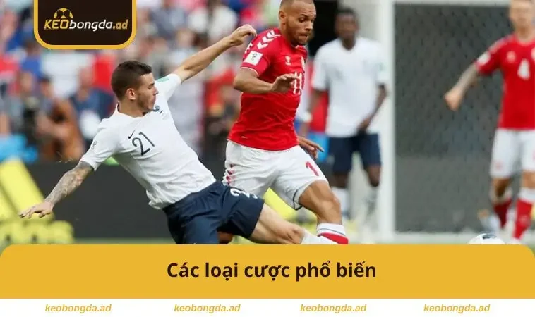 Các loại cược phổ biến