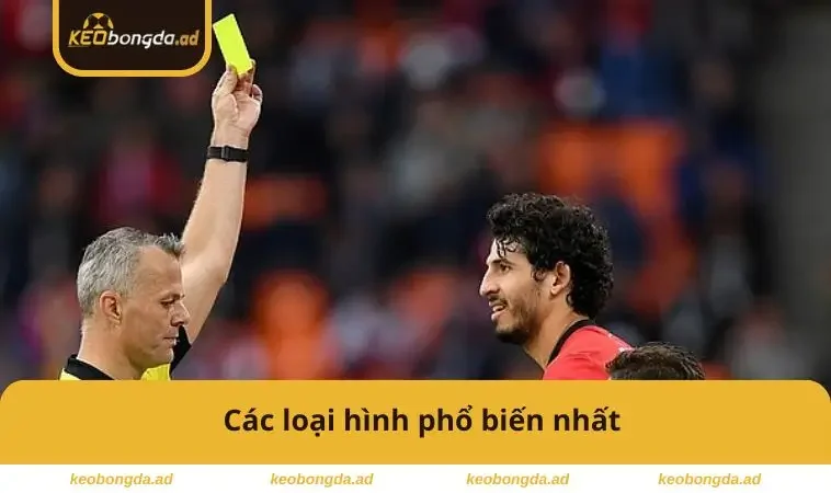 Các loại hình phổ biến nhất