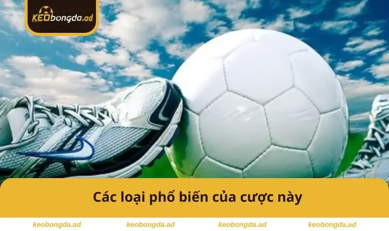 Kèo Cơ Hội Kép Là Gì - Cách Áp Dụng Hiệu Quả Để Thắng Cược 2 Các loại phổ biến của cược này