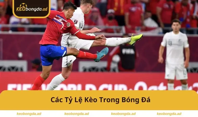 cac-ty-le-keo-trong-bong-da