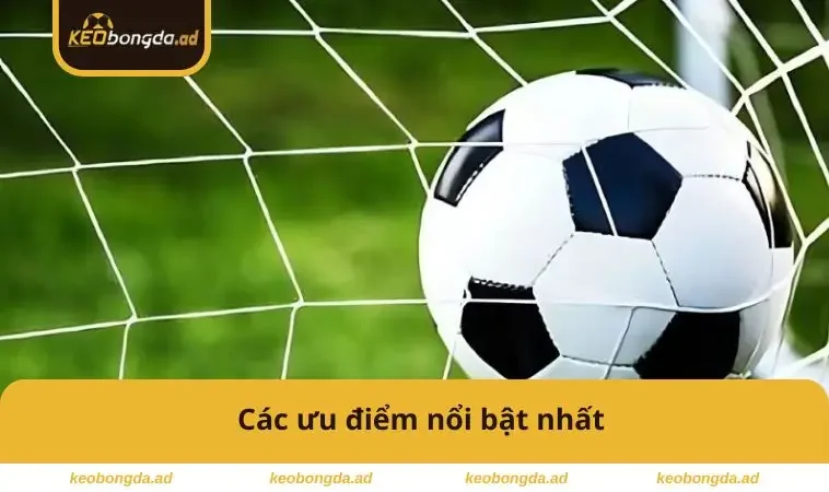 Kèo 3 Cửa Là Gì – Bí Quyết Chơi Dễ Thắng Cho Người Mới 2 Các ưu điểm nổi bật nhất