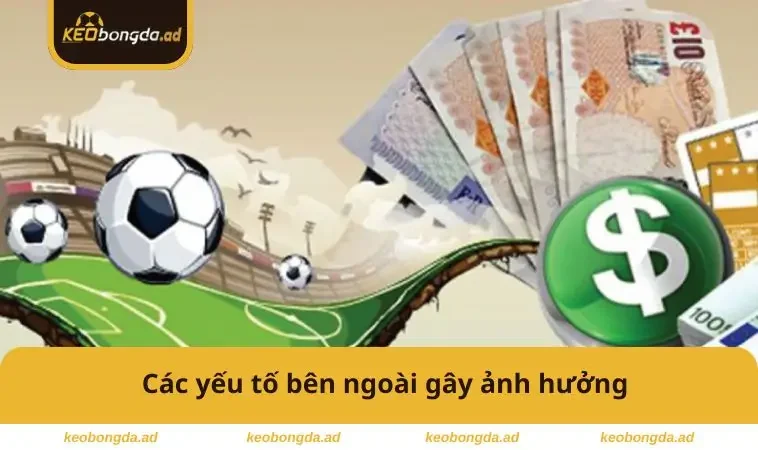 Các yếu tố gây ảnh hưởng