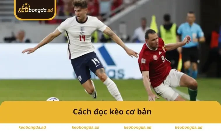 Cách đọc kèo cơ bản