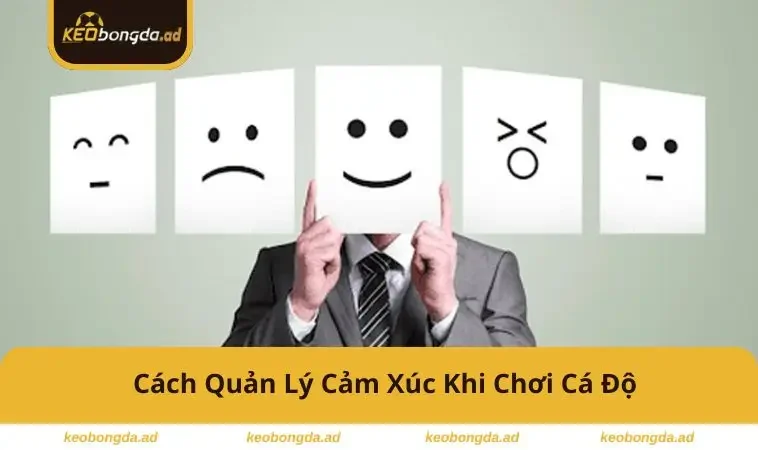 cach-quan-ly-cam-xuc-khi-choi-ca-do
