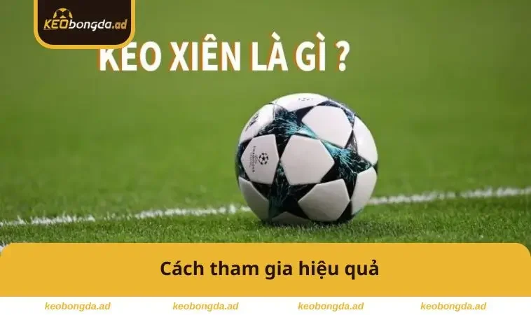 Cách tham gia hiệu quả