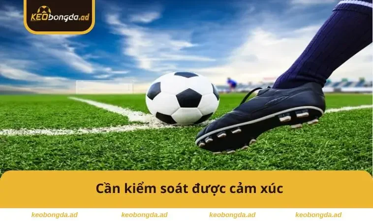 Cần kiểm soát được cảm xúc