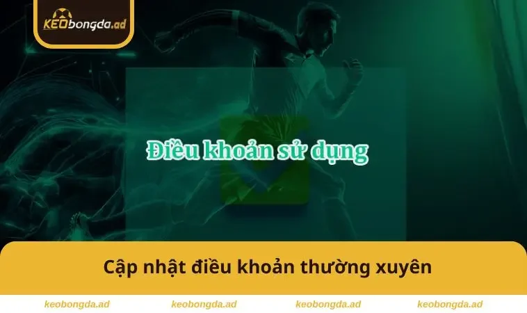 Điều Khoản Sử Dụng 3 Cập nhật thường xuyên