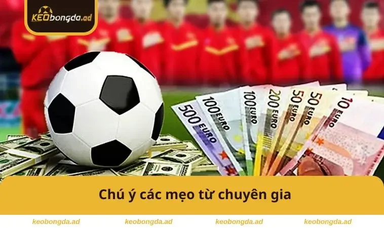 Chú ý các mẹo từ chuyên gia