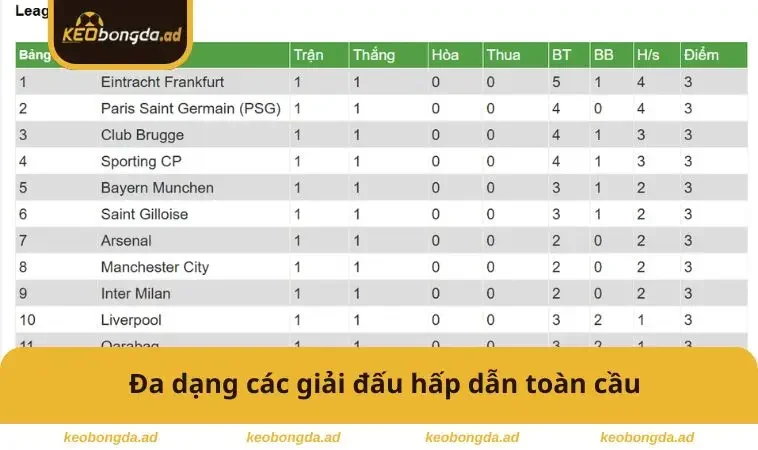 Bảng Xếp Hạng 3 Đa dạng các giải đấu hấp dẫn toàn cầu