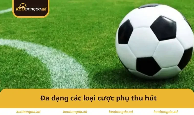 Kèo Chấp Là Gì? Mẹo Phân Tích Và Đặt Cược Chuẩn Xác 3 Đa dạng các loại cược phụ thu hút