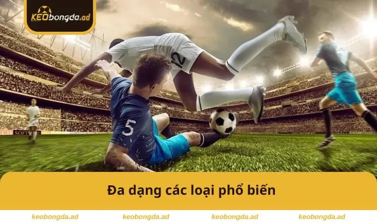 Đa dạng các loại phổ biến