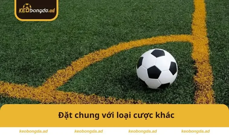 Đặt chung với loại cược khác