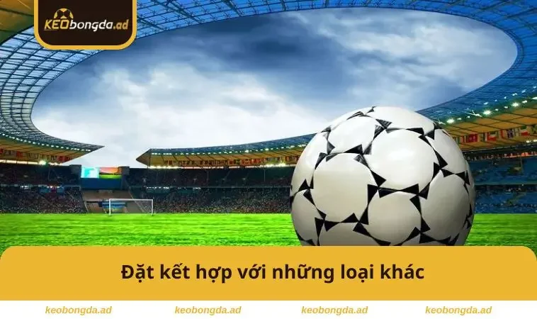 Đặt kết hợp với những loại khác