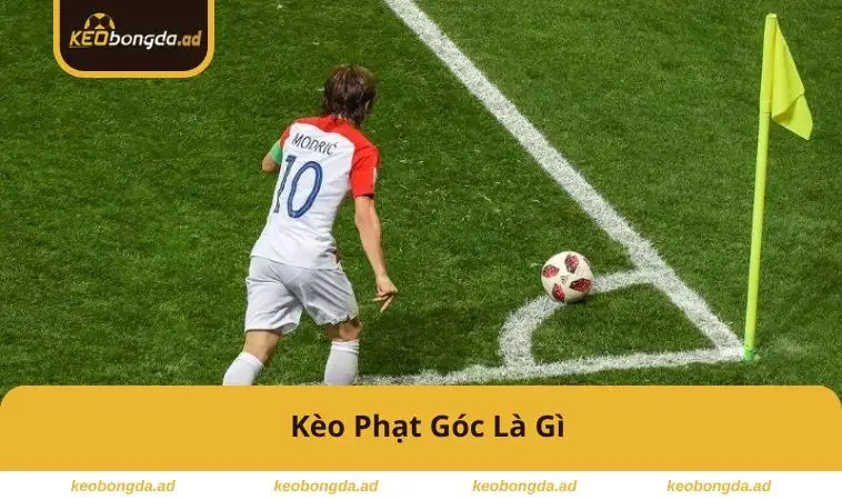 keo-phat-goc-la-gi