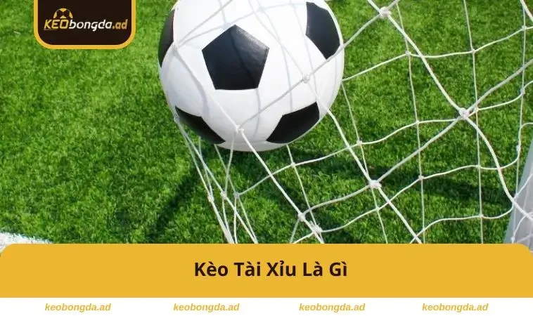 keo-tai-xiu-la-gi