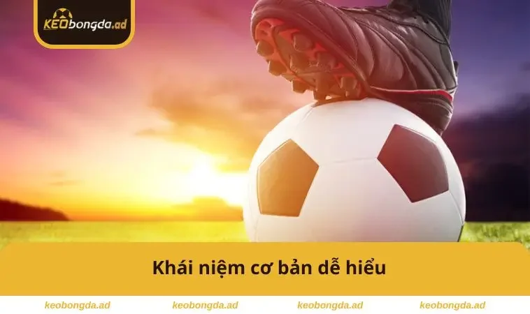 1x2 Là Gì? Cách Chơi Kèo Châu Âu Dễ Hiểu Và Sinh Lời Cao 1 Khái niệm cơ bản dễ hiểu