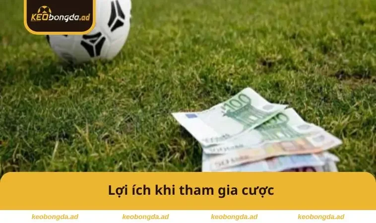 Lợi ích khi tham gia cược