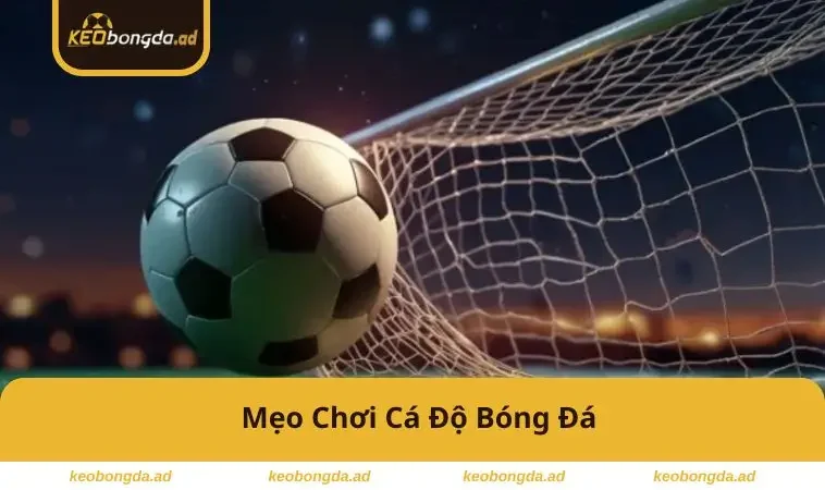 meo-choi-ca-do-bong-da