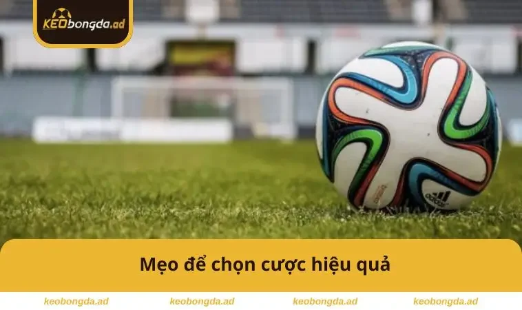 Kèo Cơ Hội Kép Là Gì - Cách Áp Dụng Hiệu Quả Để Thắng Cược 3 Mẹo để chọn cược hiệu quả