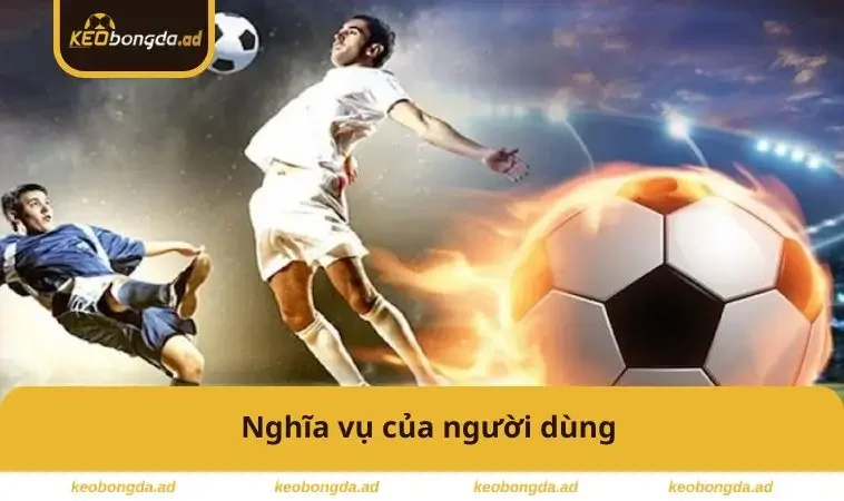 Điều Khoản Sử Dụng 2 Nghĩa vụ của người dùng