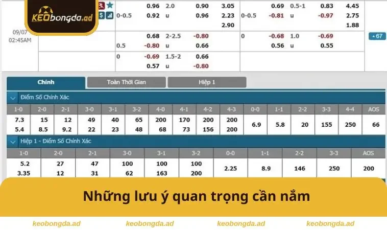 Những lưu ý quan trọng cần nắm