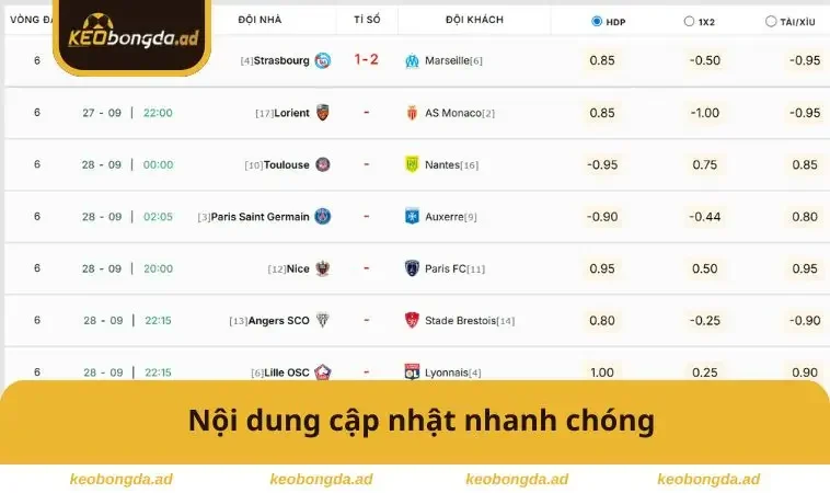 Lịch Thi Đấu 3 Nội dung cập nhật nhanh chóng