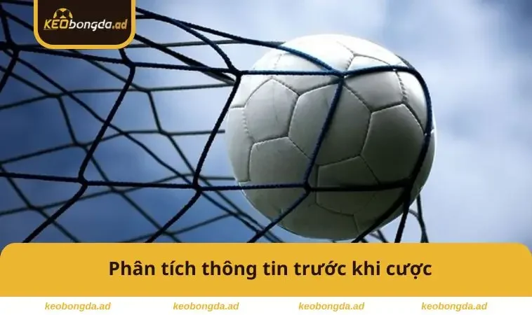 Phân tích thông tin trước cược