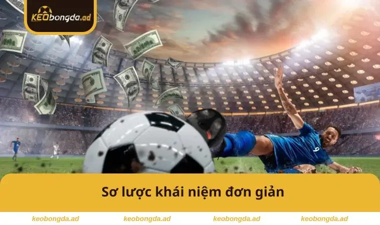 Sơ lược khái niệm đơn giản