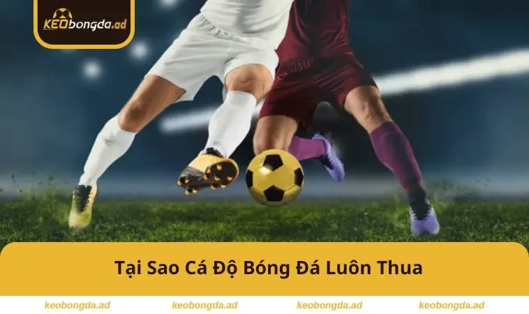 tai-sao-ca-do-bong-da-luon-thua
