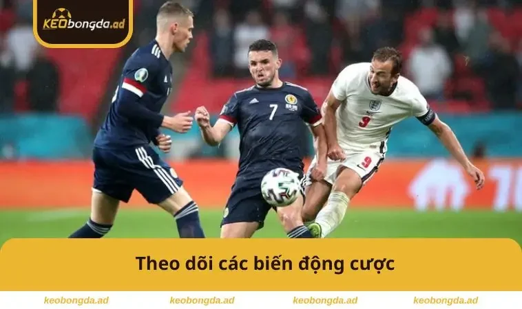 Theo dõi các biến động cược