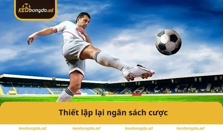 Thiết lập lại ngân sách cược